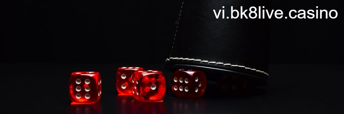 vi.bk8live.casino